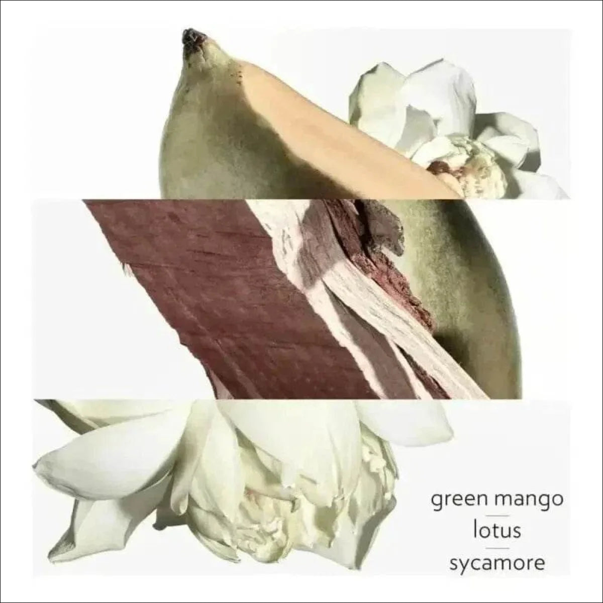 Un Jardin Sur Le Nil Hermès Edt - Perfume Unissex 50ml - Jm Grife