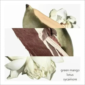 Un Jardin Sur Le Nil Hermès Edt - Perfume Unissex 50ml - Jm Grife