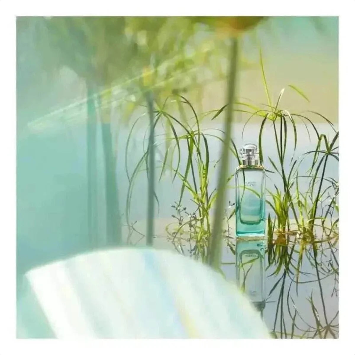 Un Jardin Sur Le Nil Hermès Edt - Perfume Unissex 50ml - Jm Grife