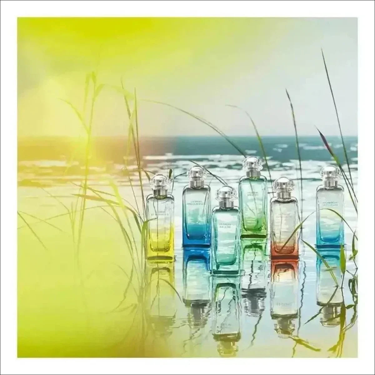 Un Jardin Sur Le Toit Hermès Edt - Perfume Feminino 50ml - Jm Grife