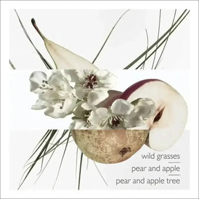 Un Jardin Sur Le Toit Hermès Edt - Perfume Feminino 50ml - Jm Grife