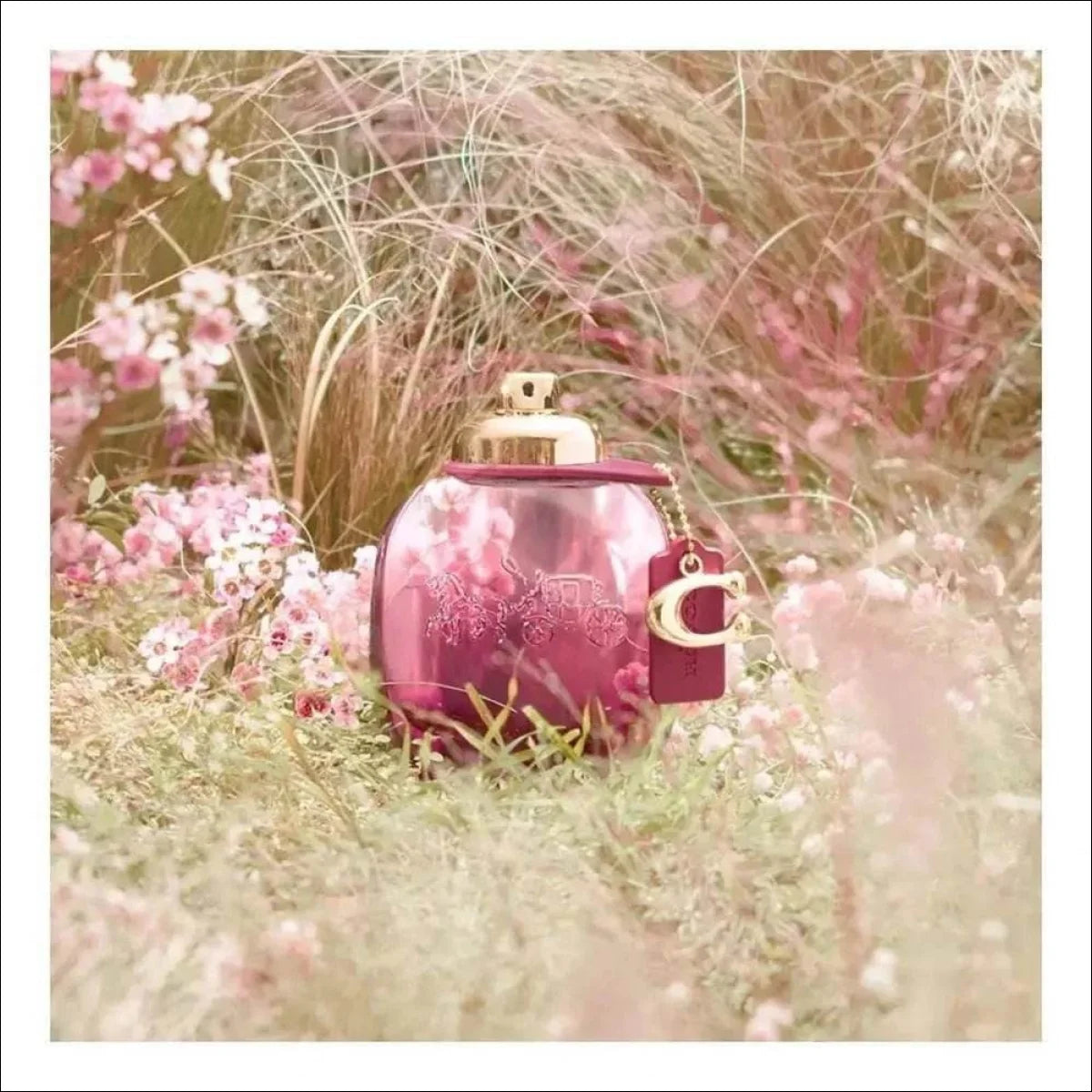 Wild Rose Coach Eau De Parfum - Perfume Feminino 50ml - Jm Grife