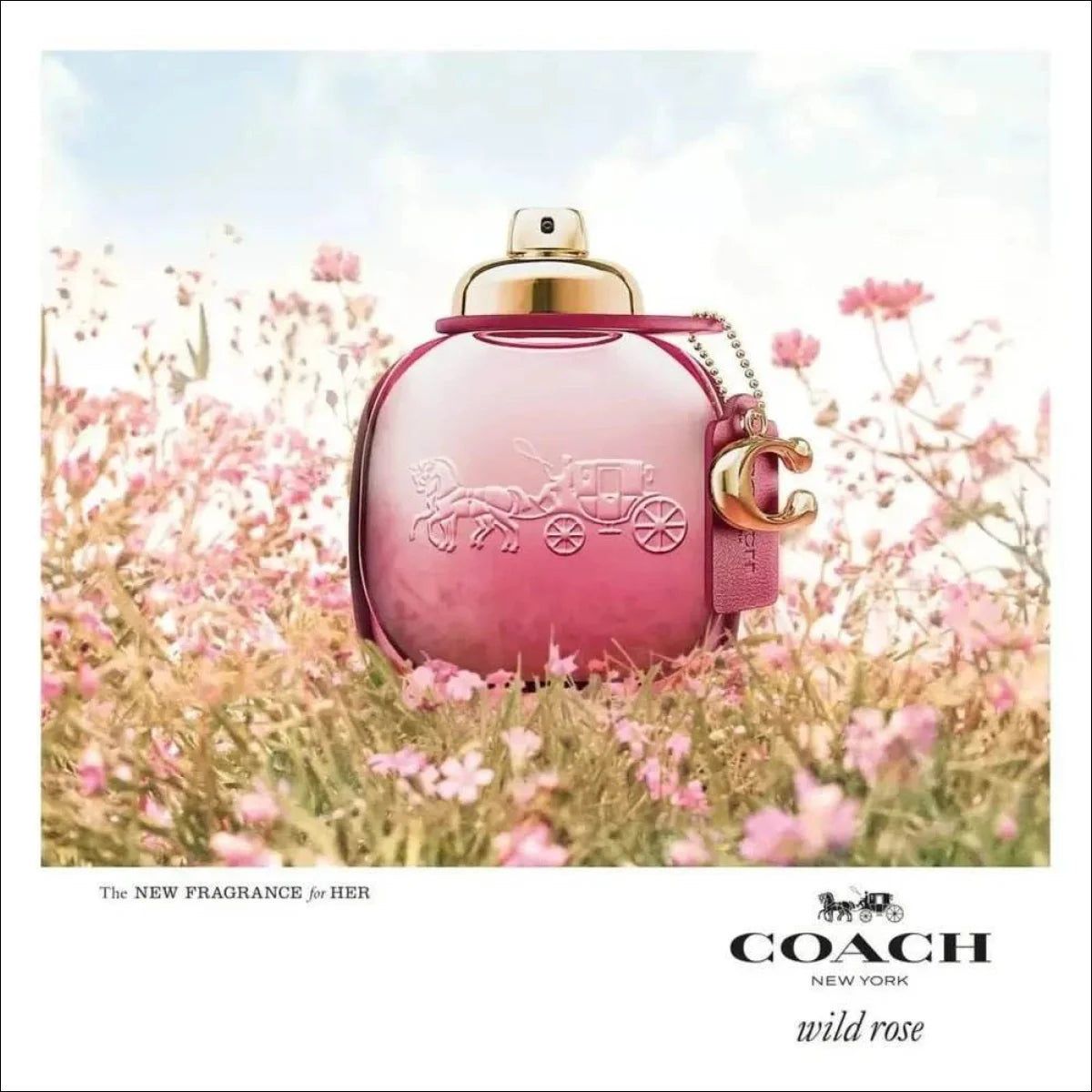 Wild Rose Coach Eau De Parfum - Perfume Feminino 50ml - Jm Grife